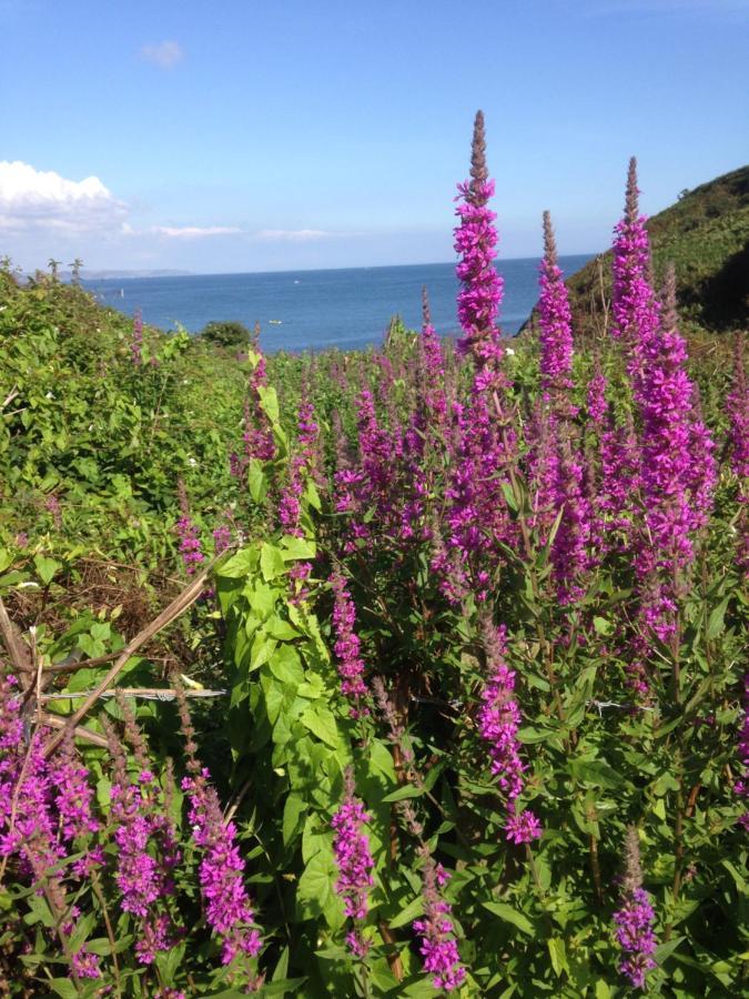 Kerryanna Country House Bed And Breakfast Mevagissey Exteriér fotografie