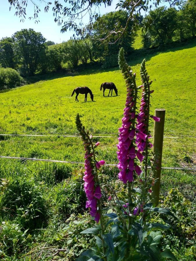Kerryanna Country House Bed And Breakfast Mevagissey Exteriér fotografie