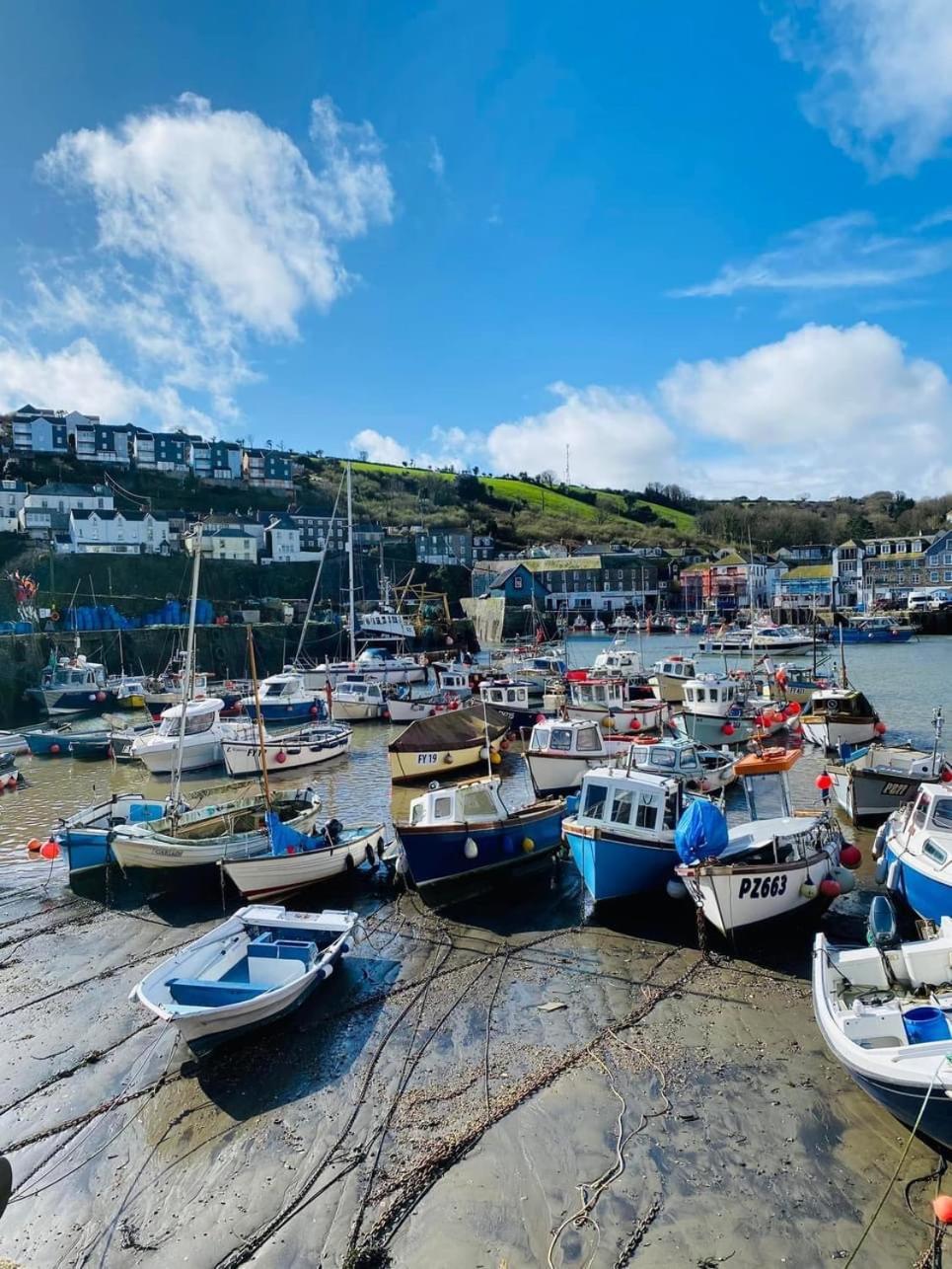 Kerryanna Country House Bed And Breakfast Mevagissey Exteriér fotografie